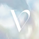 VIVIZ